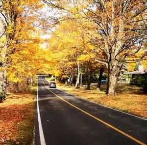 Meet your Posher, Shereen